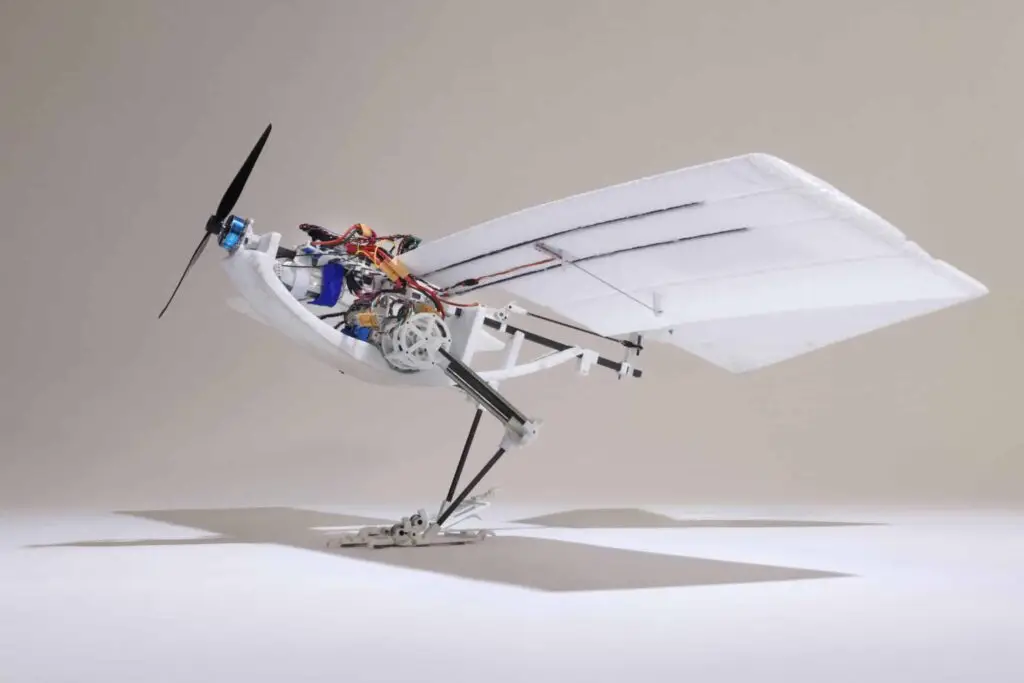 EPFL researchers create RAVEN, a bird-inspired drone that walks, climbs, and jumps for flight, revolutionizing drone use in complex environments